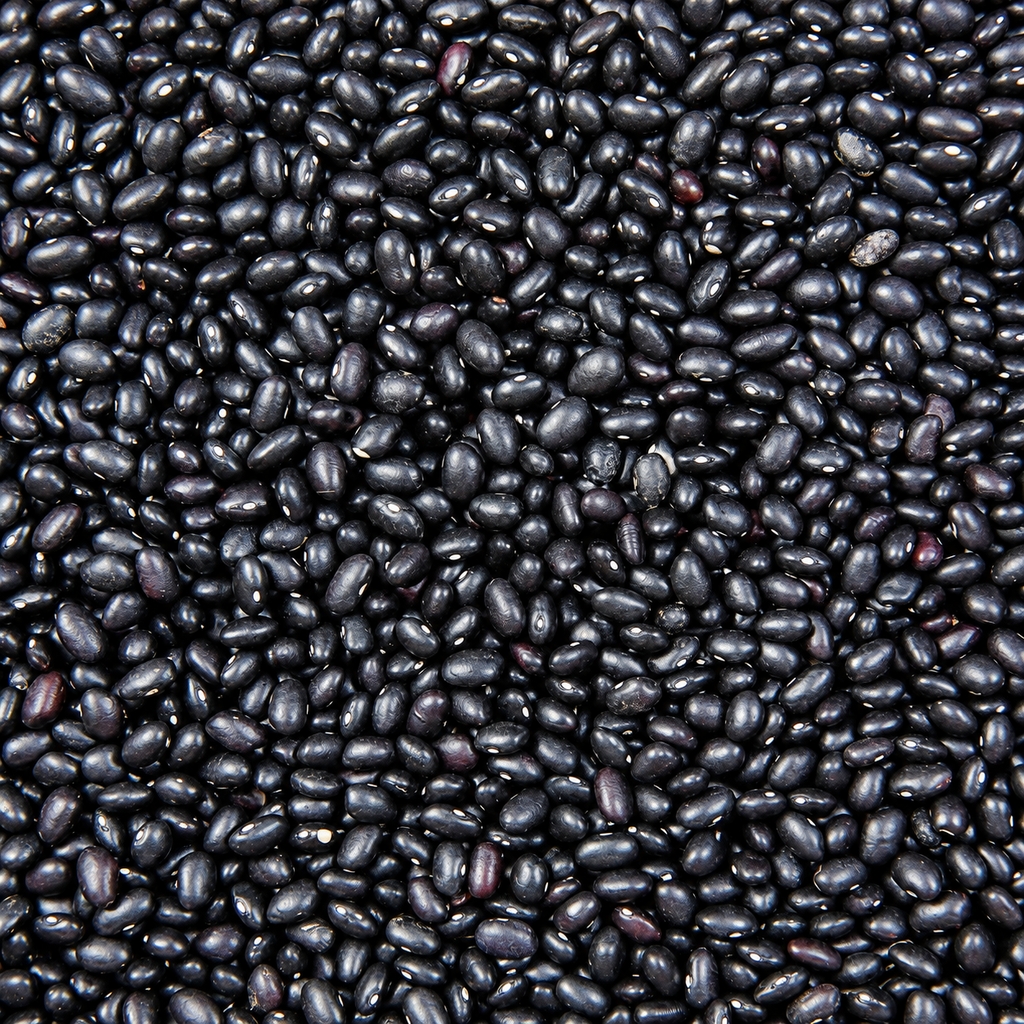 HABICHUELA NEGRA LB